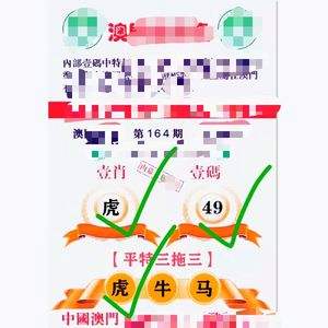 澳门精准三肖三码免费资料,效能解答解释落实_游戏版121,127.12