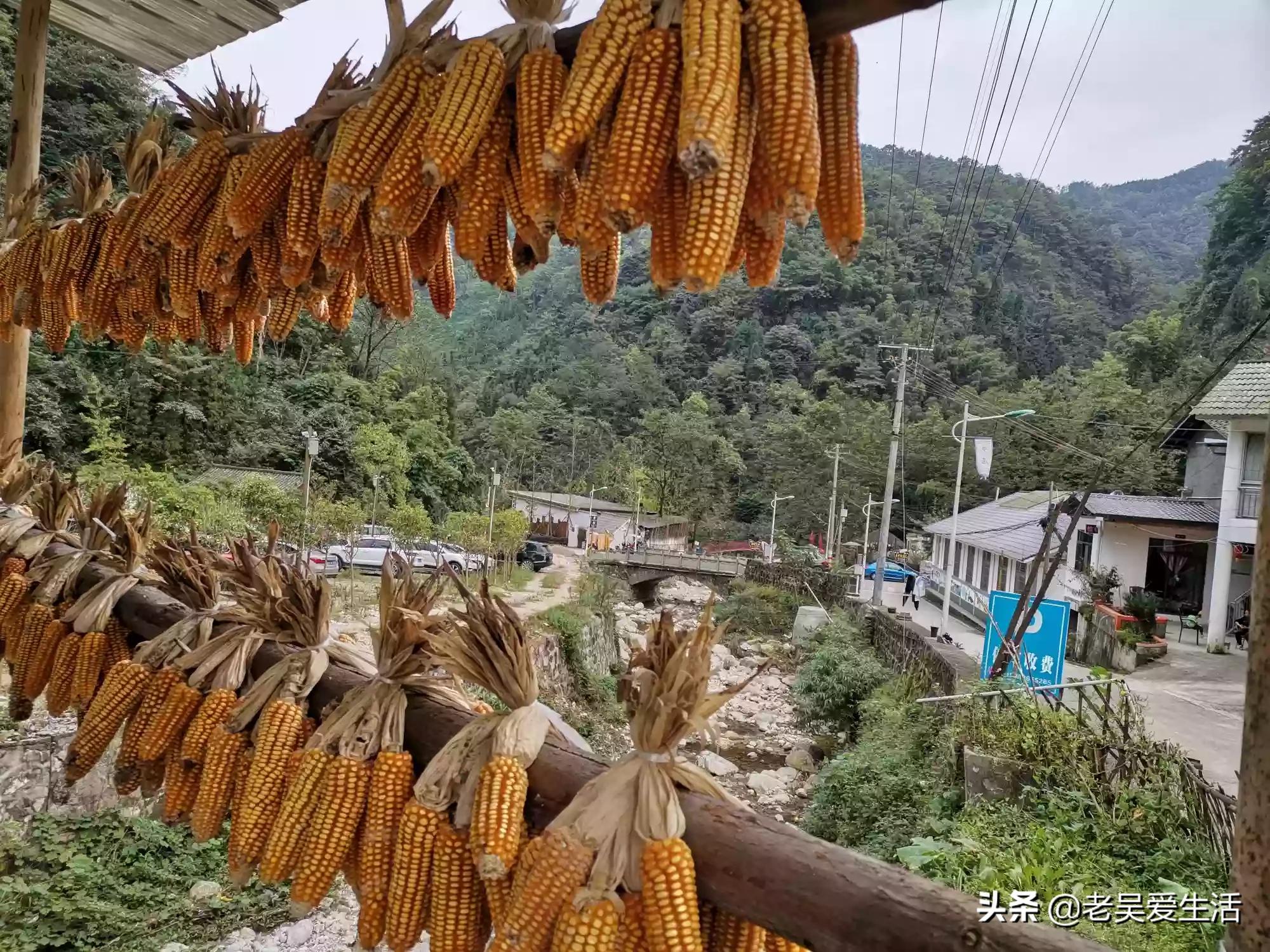 （成人用品电动仿真器怎么用）