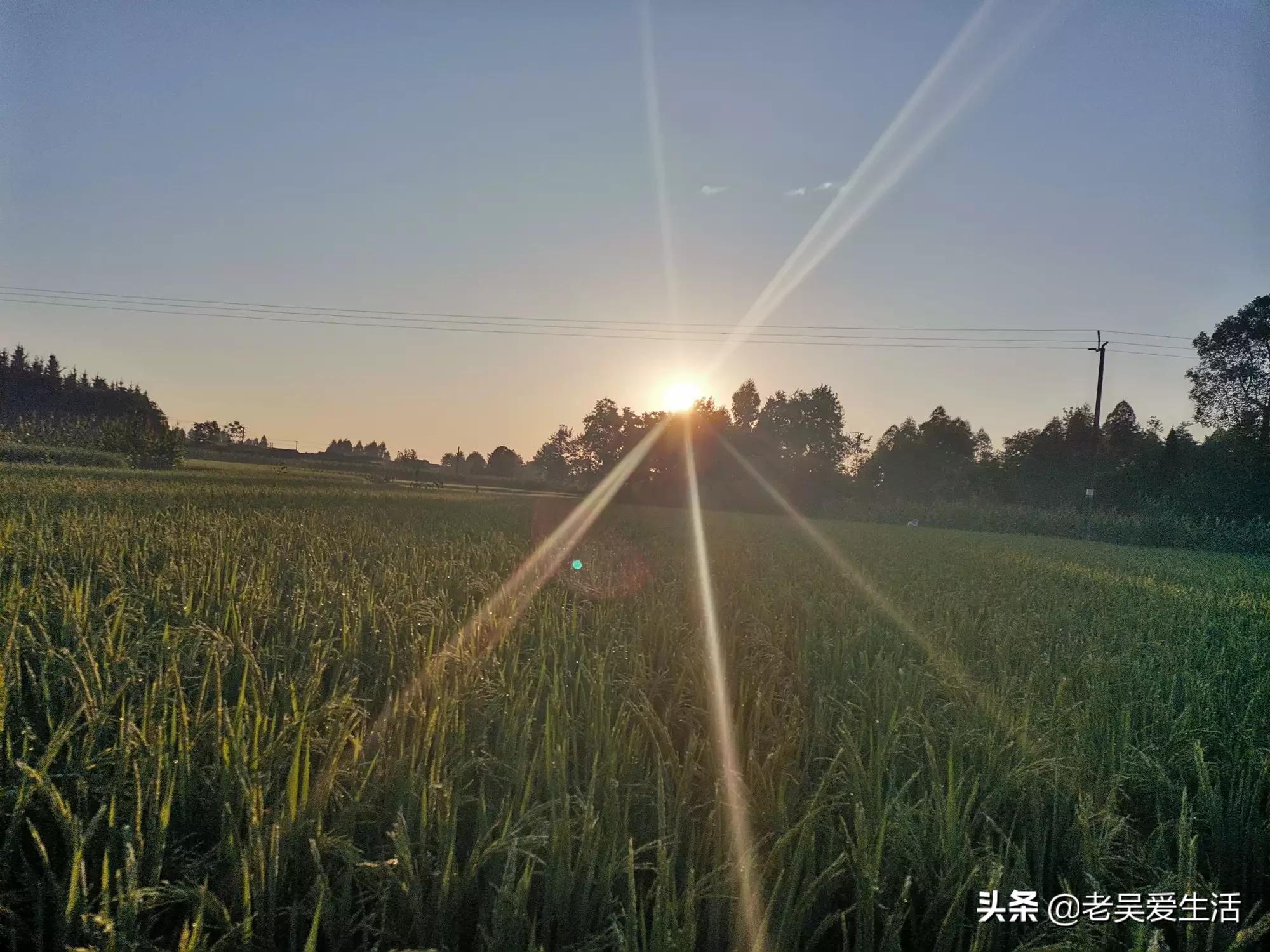 （成人用品电动仿真器怎么用）