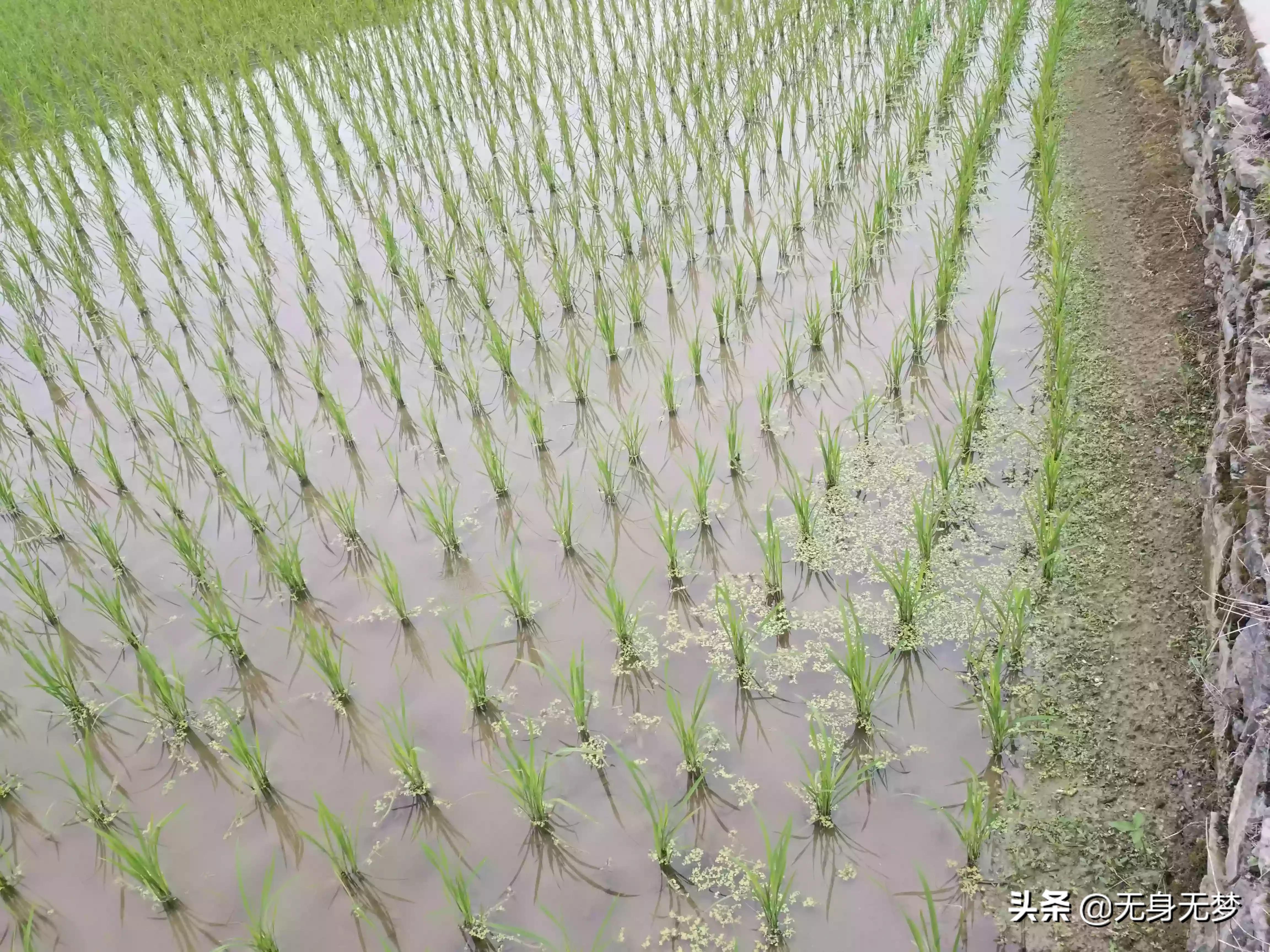 （成人用品一件代发货源网）