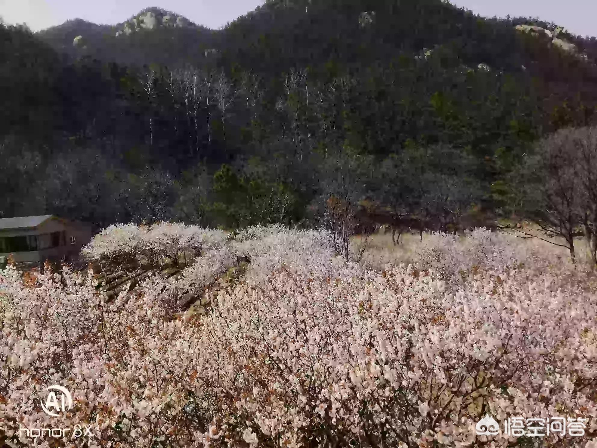 从哪来，到哪去，从哪来到哪去哲学问题