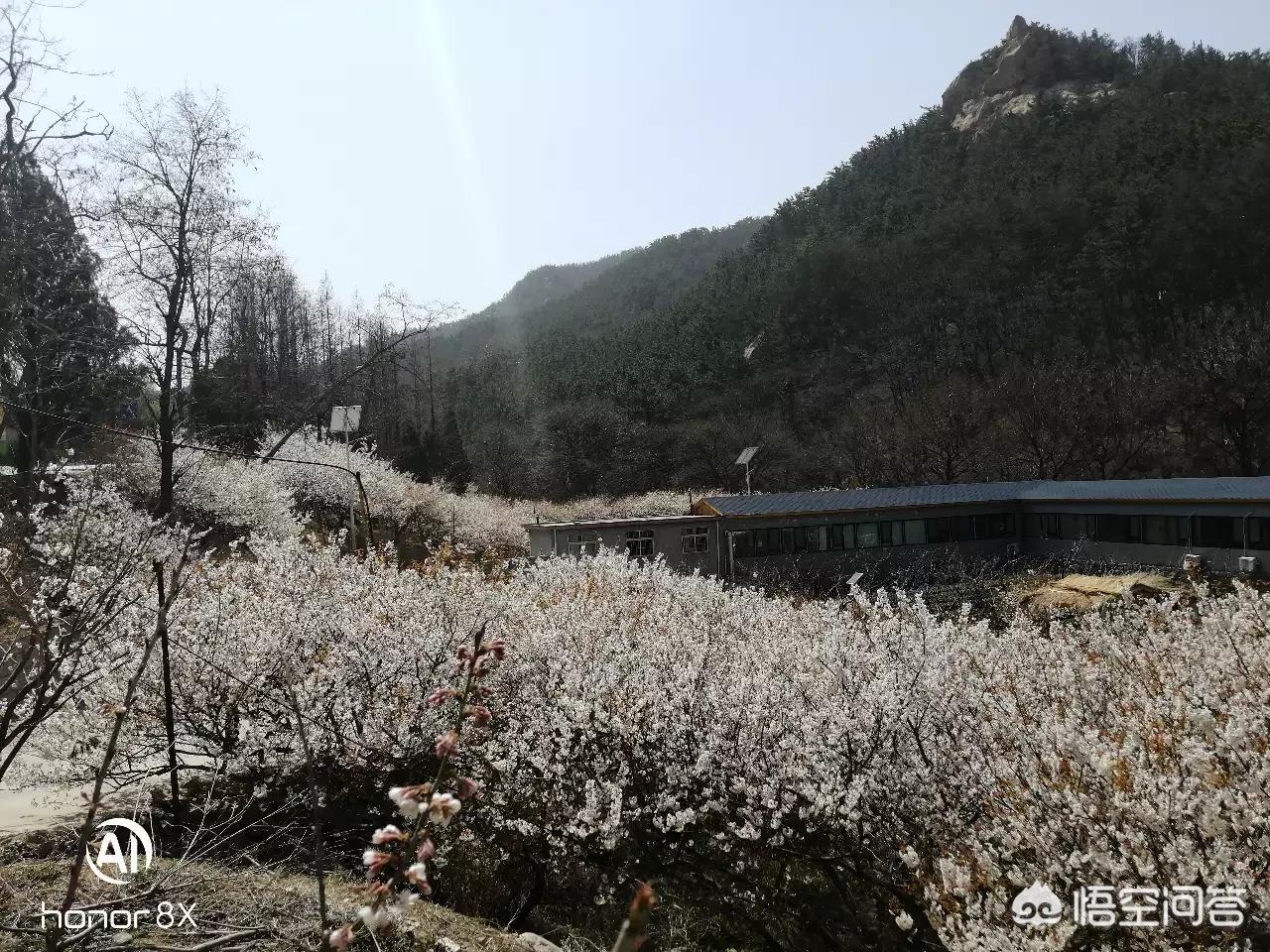 从哪来，到哪去，从哪来到哪去哲学问题