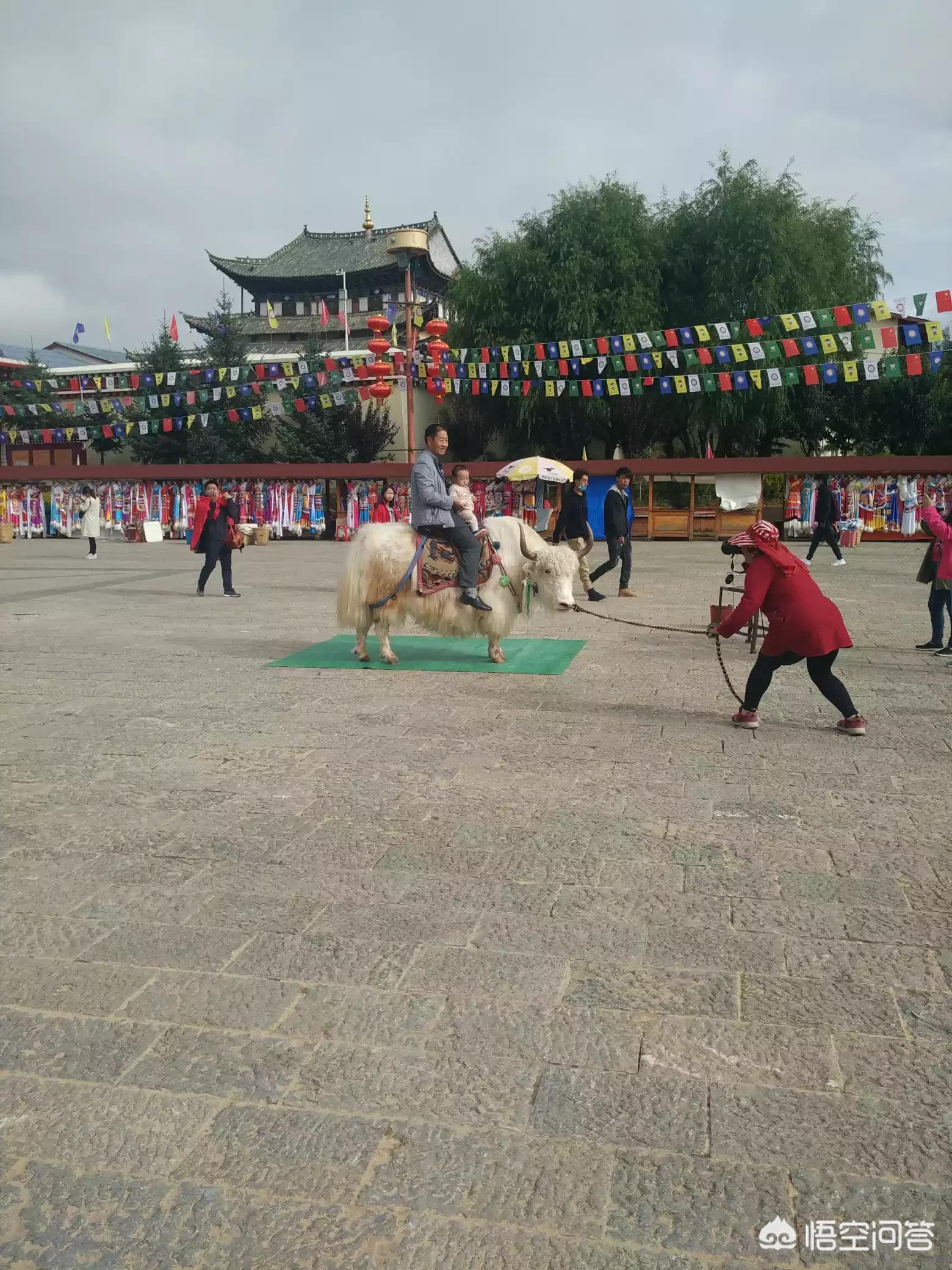 打开港澳宝典开奖结果，打开港澳宝典开奖结果怎么看